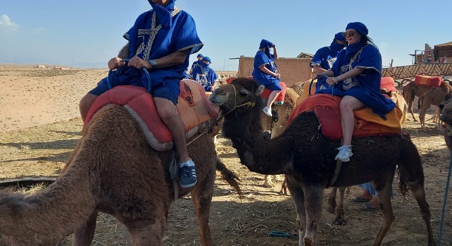 Day trip to the Agafay Desert from Marrakech