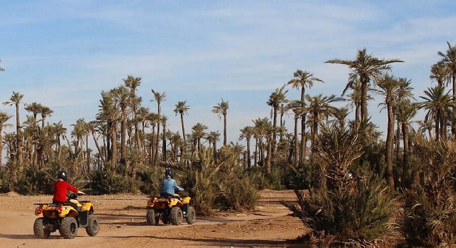 Quad biking in the Marrakech Palm Grove