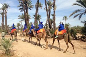 Camel ride in Marrakech